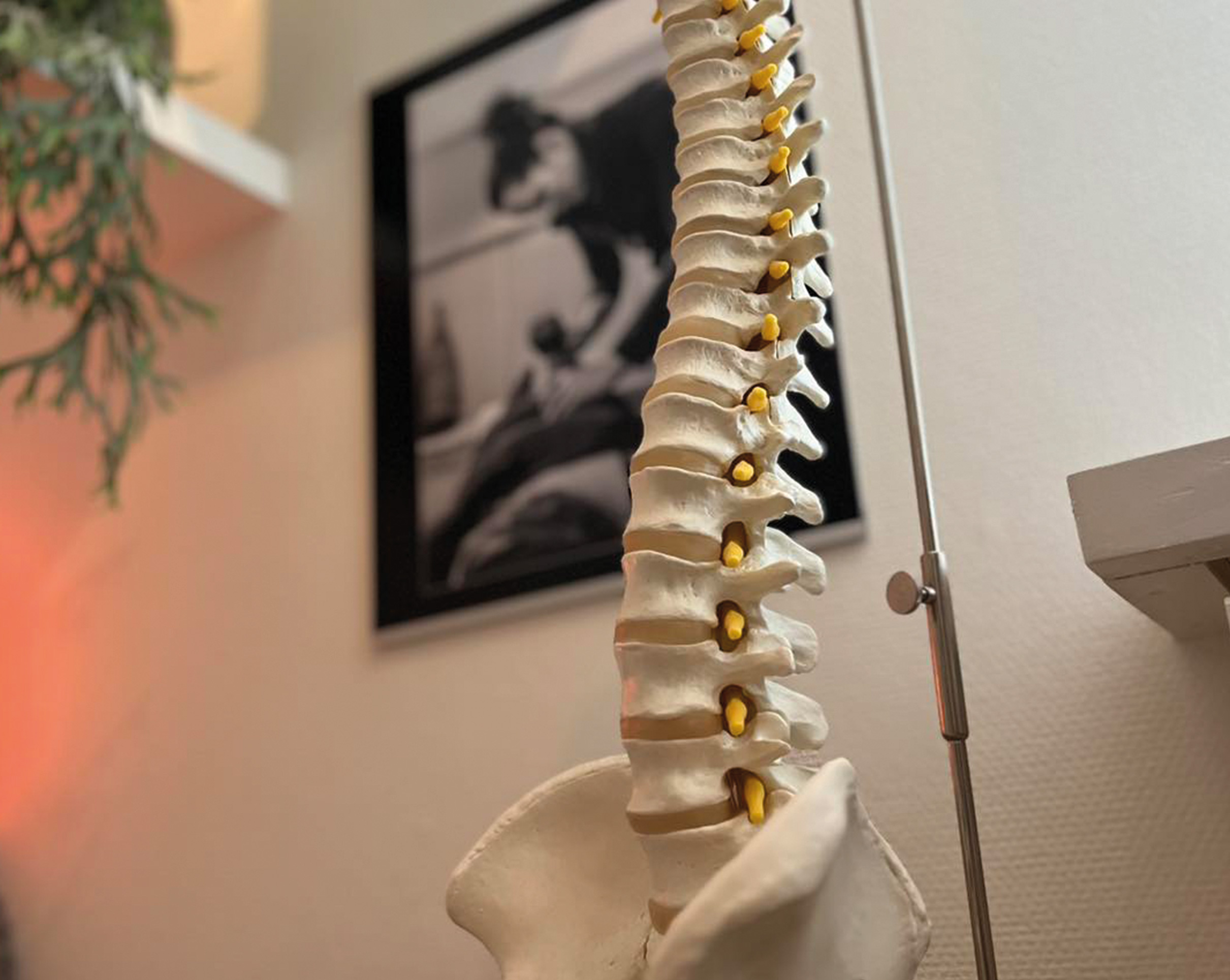 Tuphana Praktijk voor Shiatsu